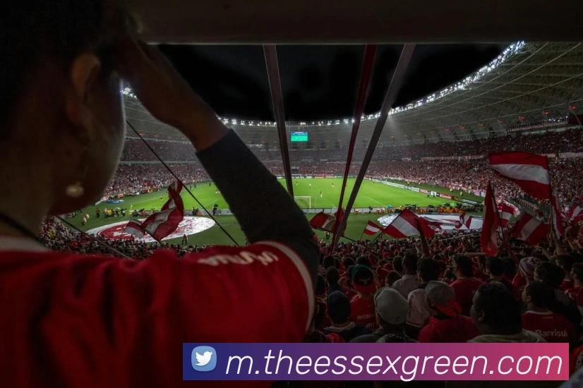 App Interface Preview